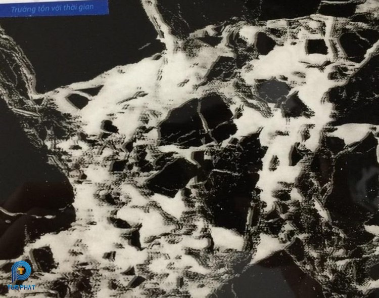 Tấm PVC Vân Đá 8624